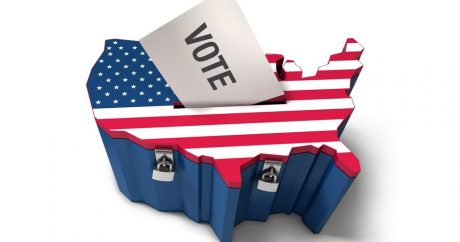 ОБСЕ: Выборы в США не соответствуют международным стандартам