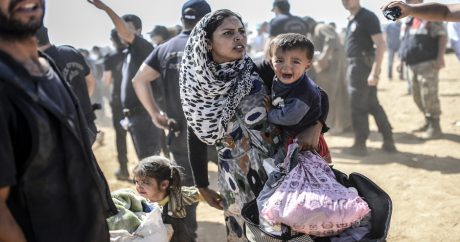 Доклад ООН: Турция приютила наибольшее количество беженцев