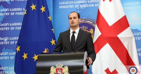 МИД Грузии: Наши граждане просят в Евросоюзе убежища без причины