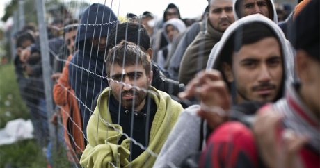 Австрия выплатит по € 1 тыс. беженцам, которые согласятся вернуться домой