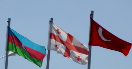 Турция, Азербайджан и Грузия проведут совместные военные учения «Кавказский орел»