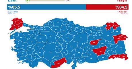 Стали известны первые результаты голосования в Турции