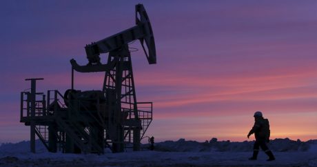 Азербайджан увеличил экспорт ненефтяной продукции на 7%