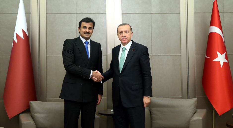 Турция союзник россии. Эрдоган и Эмир Катара.