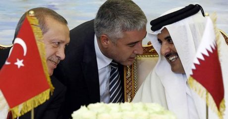 Редактор Al-Monitor: «В катарском кризисе Турция поторопилась с выбором»