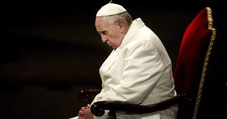 Папа Римский: «Все животные попадут в рай»