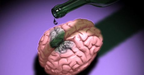 Что делает алкоголь с мозгом? — культовый доклад академика
