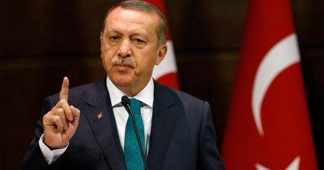 Эрдоган: «Германия, запрещая выступления перед турками, совершает самоубийство»