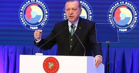 Эрдоган: «В отличие от Турции, страны Запады боятся свободы слова»