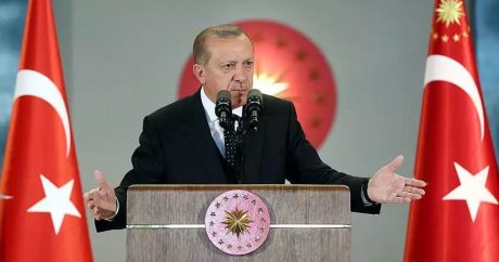 Эрдоган: Турция не позволит создать псевдогосударство в Сирии