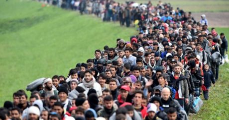 Еврокомиссия предложила принять 50 тысяч беженцев