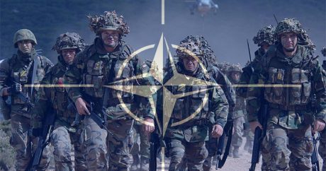 Госдеп: Украина и Грузия не готовы к вступлению в НАТО