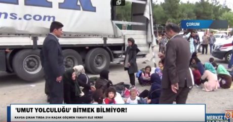 В Турции задержана группа нелегальных мигрантов из Азербайджана