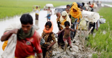 Власти Мьянмы не примут беженцев рохинья без доказательств их гражданства