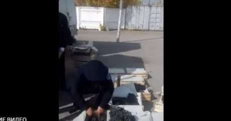 Кыргызстан отправил в Казахстан зараженные фрукты