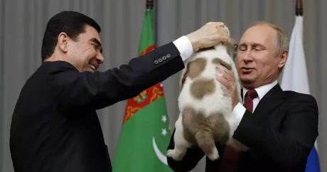 Бердымухамедов подарил Путину щенка алабая — ВИДЕО