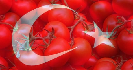 С 1 ноября турецкие помидоры вернутся на российский рынок