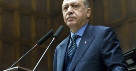 Эрдоган: «Прогоните их прочь, они мошенники и махинаторы»