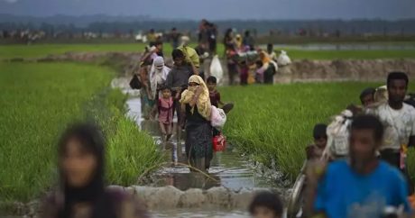 Бангладеш и Мьянма начали переговоры о возвращении беженцев рохинья