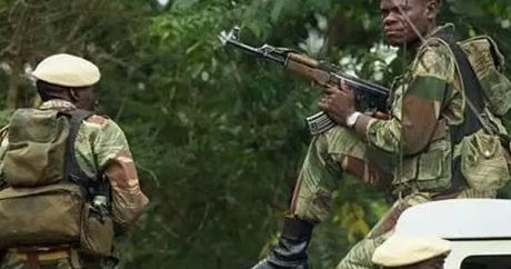 Военные объявили о захвате власти в Зимбабве