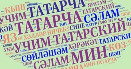 В Татарстане предложили сделать татарский язык государственным для России