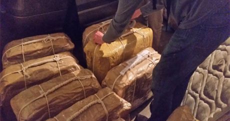 В здании посольства России нашли 12 чемоданов с наркотиками