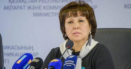Балиева нашла нарушения в «домах мамы» и попросила не пускать в детдома НПО