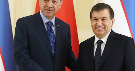 Узбекистан присоединяется к Совету сотрудничества тюркоязычных государств
