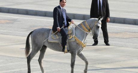 В Туркмении пройдет «конкурс красоты» среди лошадей