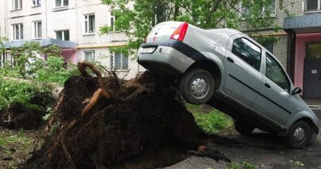 На Москву обрушился сильный ураган: есть погибшие и раненные