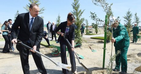 Президент Ильхам Алиев принял участие в акции по посадке деревьев
