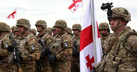 В каком году Грузия вступит в НАТО?