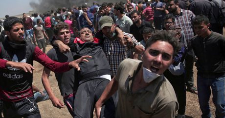Число погибших в Газе увеличилось до 59 человек