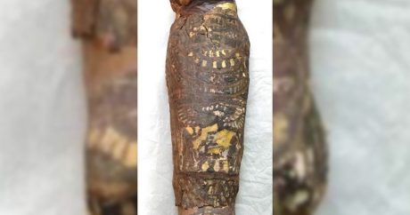 Ученые нашли тело ребенка внутри древнеегипетской мумии «сокола»