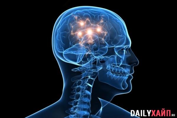 Ученые нашли еще один мозг в теле человека