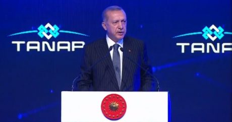 Президент Турции: Сегодня мы совершаем исторический шаг для нашего региона и страны