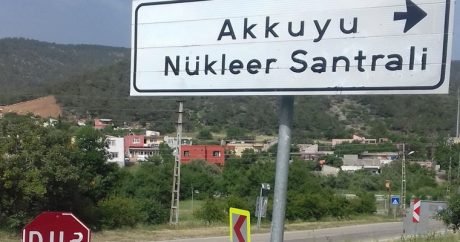 Обвиняемая в шпионаже Карина Цуркан работала в АЭС Аккую в Турции