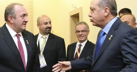 Эрдоган и Маргвелашвили обсудили ТАНАП