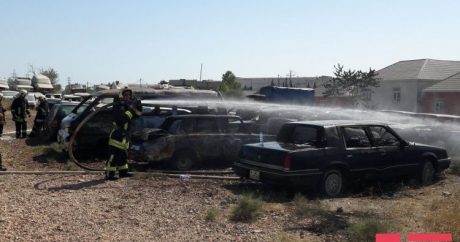 На штрафной стоянке произошел пожар, сгорели более 50 автомобилей