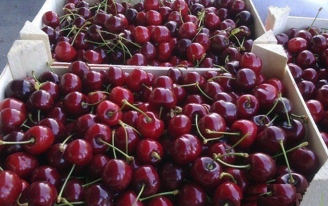 Более 50 тонн фруктов незаконно попытались ввезти в Дагестан из Азербайджана