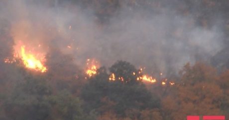 МЧС распространил информацию в связи с пожаром в Ярдымлы
