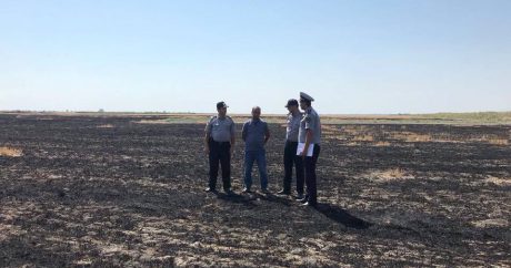 В Гейчае задержан подозреваемый в умышленном поджоге пшеничного поля