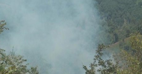МЧС: Пожар в Гирканском парке был потушен в утренние часы