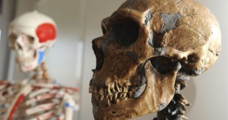 Ученые выяснили, что ел человек пять тысяч лет назад
