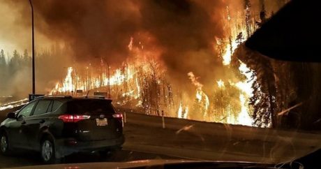 В канадской провинции ввели режим ЧС из-за пожаров