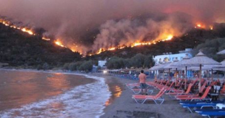 Названа причина лесных пожаров в Греции