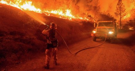Трамп объявил о режиме ЧС в Калифорнии из-за лесных пожаров