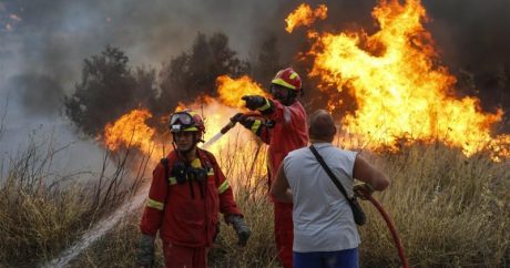 Число погибших из-за пожаров в Греции возросло почти до 50 — ВИДЕО