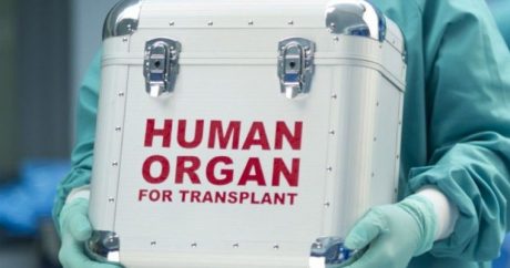 В Азербайджане будет расширен список трансплантируемых органов
