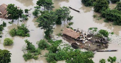 На юго-западе Индии число погибших в результате наводнений выросло до 37